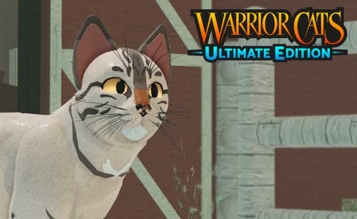 Warriors Cats Codes